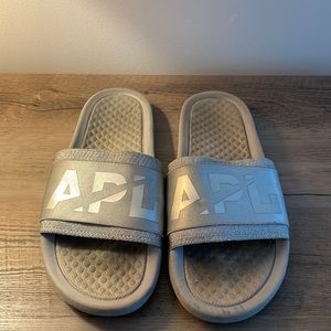 APL silver slides 9